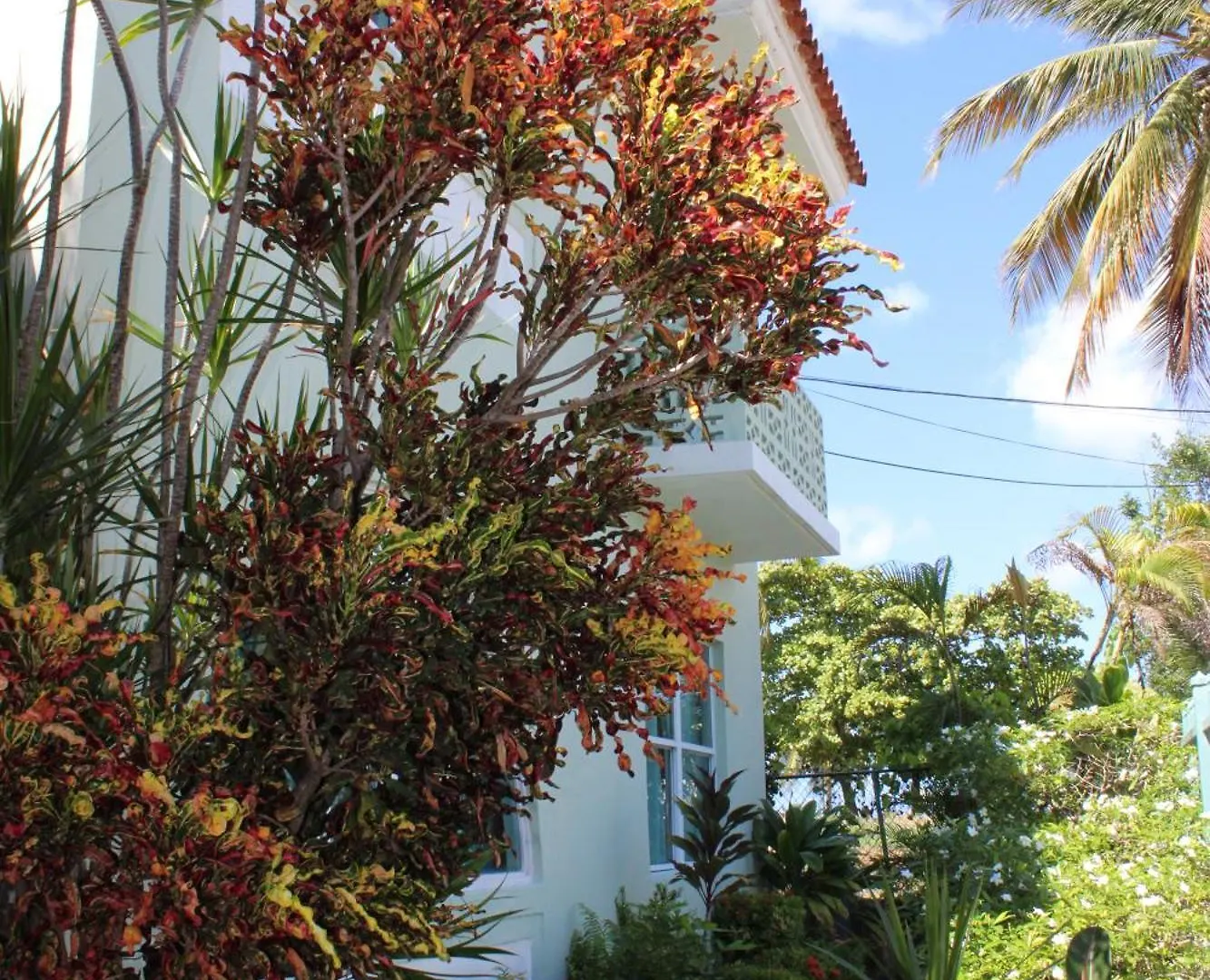 Numero Uno Beach Apartments San Juan 2*,  Puerto Rico