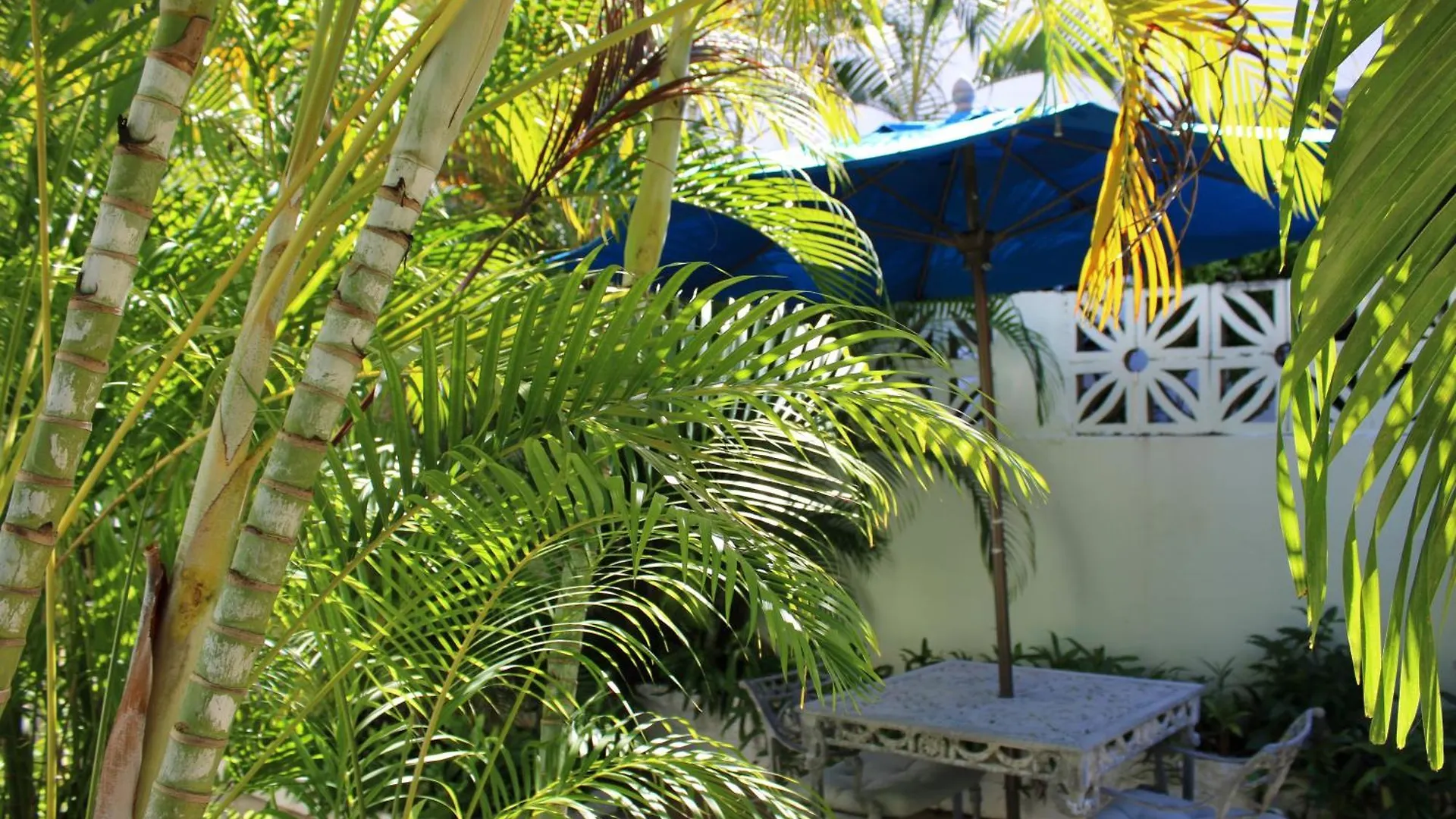 Numero Uno Beach Apartments San Juan 2*,